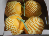 White _ Golden Melon_ Papaya Melon